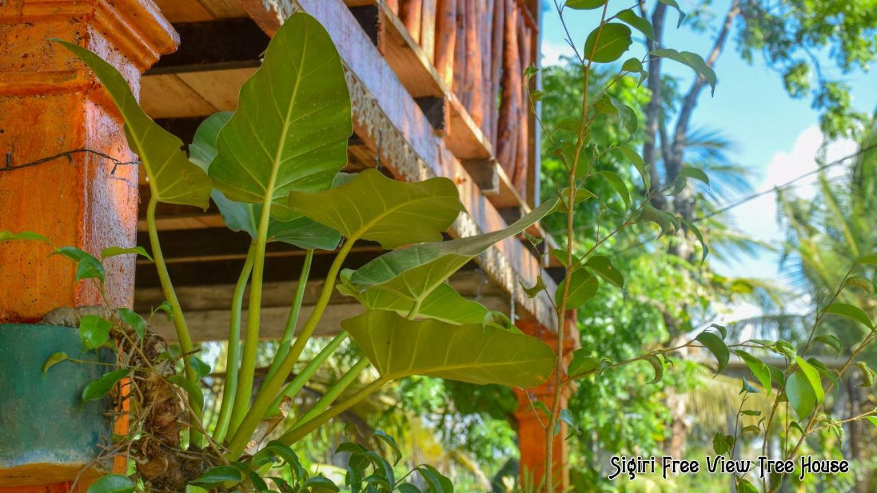 Sigiriya Free View Tree House & Villa Extérieur photo