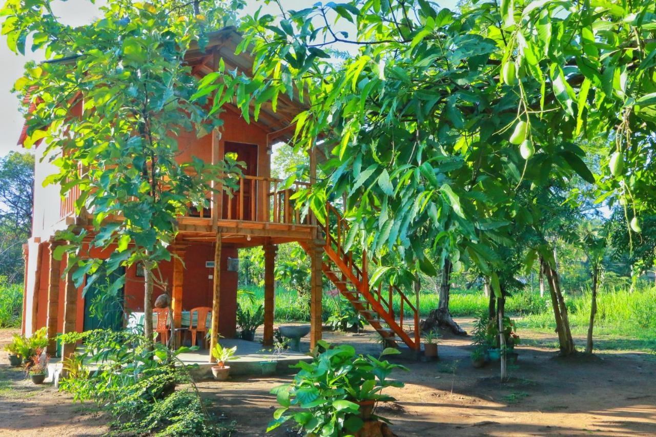 Sigiriya Free View Tree House & Villa Extérieur photo