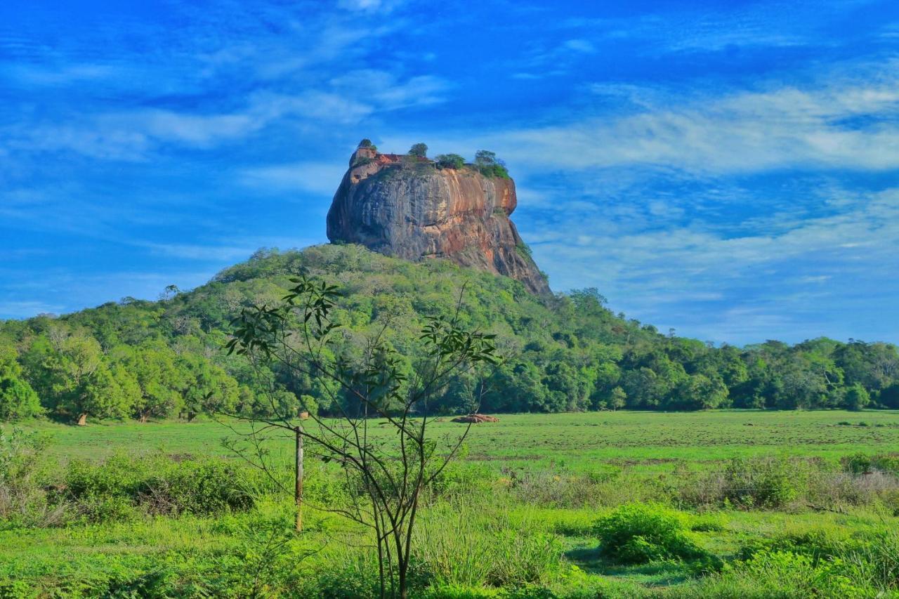 Sigiriya Free View Tree House & Villa Extérieur photo