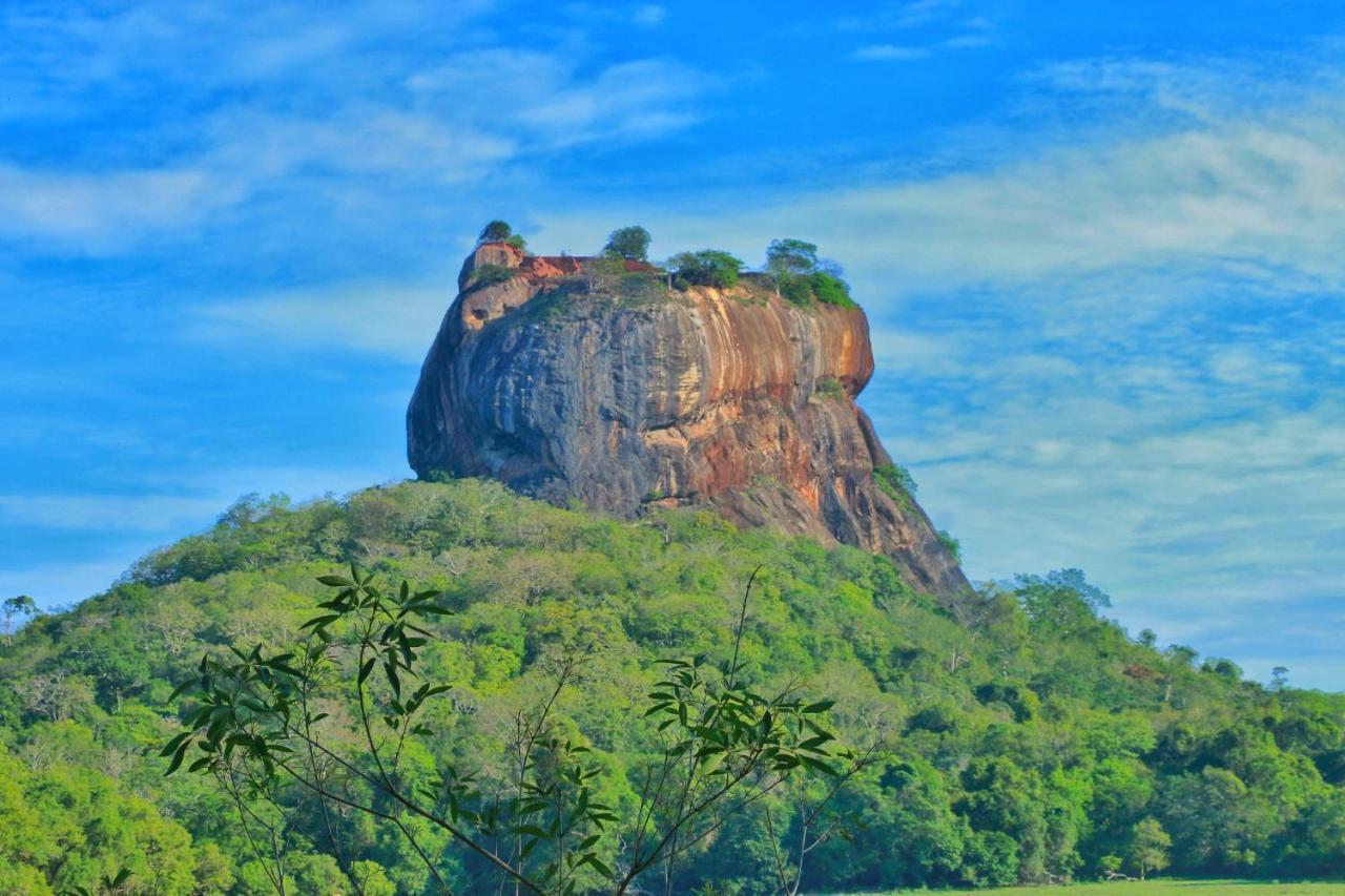 Sigiriya Free View Tree House & Villa Extérieur photo